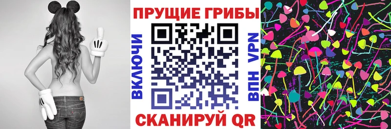 Купить  Саратов  Псилоцибиновые грибы прущие грибы 