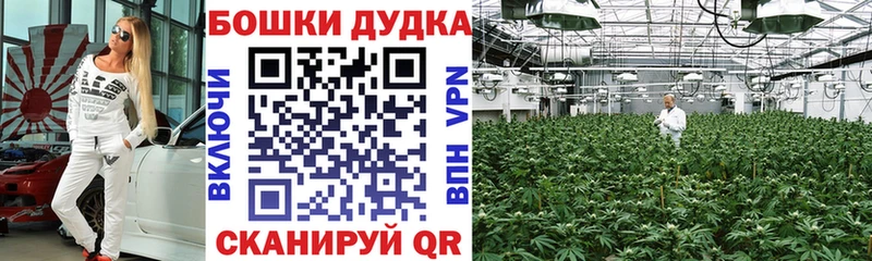 Купить  Саратов  Бошки марихуана планчик 